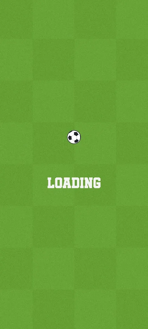 Loading screen.